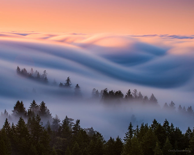 Nghẹt thở trước vẻ đẹp huyền ảo của San Francisco giữa làn sương mù - Ảnh 3.
