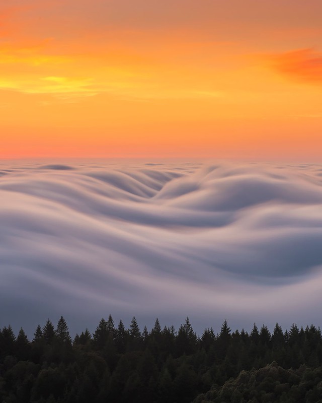Nghẹt thở trước vẻ đẹp huyền ảo của San Francisco giữa làn sương mù - Ảnh 8.