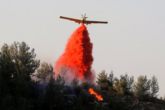 Cháy rừng nghiêm trọng tại Israel, khoảng 50.000 người phải sơ tán - Ảnh 14.