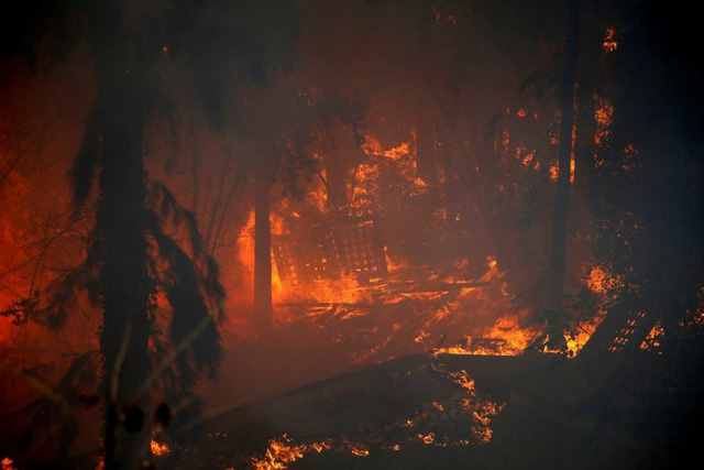 Cháy rừng nghiêm trọng tại Israel, khoảng 50.000 người phải sơ tán - Ảnh 9.