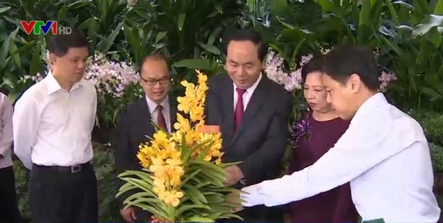 Chủ tịch nước dâng hoa tại Tượng đài Chủ tịch Hồ Chí Minh ở Singapore - Ảnh 1.