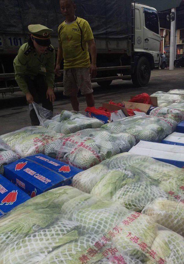 Nghệ An: Tiêu hủy hàng tấn rau quả nhập lậu từ Trung Quốc - Ảnh 1.