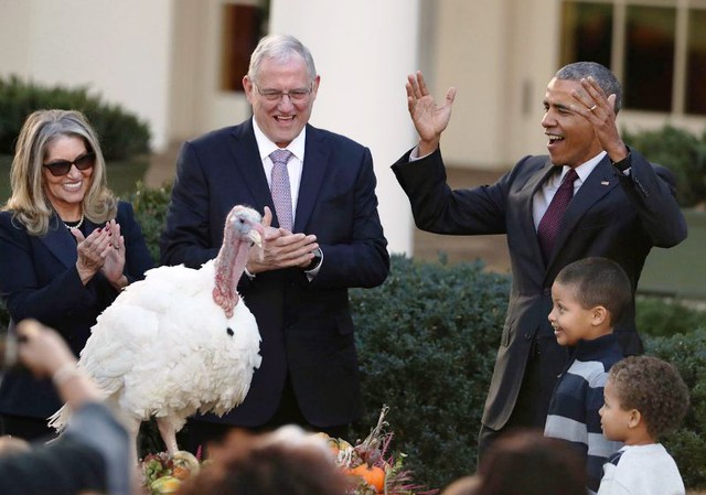 Tổng thống Obama phóng sinh gà tây nhân ngày lễ Tạ ơn - Ảnh 2.
