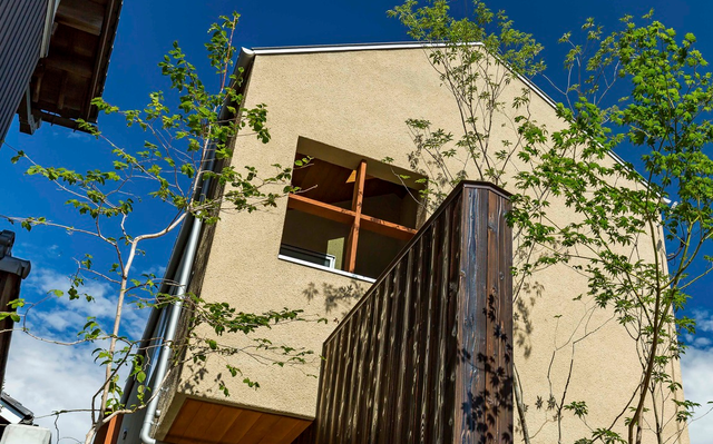 Thiết kế nhà với nội thất toàn bằng gỗ và khoảng giếng trời xanh ngát - Ảnh 2.