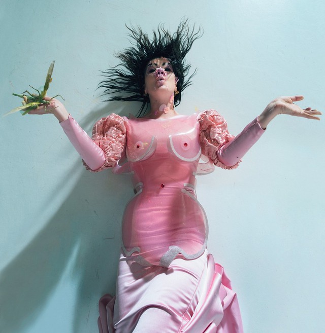 Björk với câu chuyện về thời trang táo bạo vào kỳ diệu - Ảnh 9.