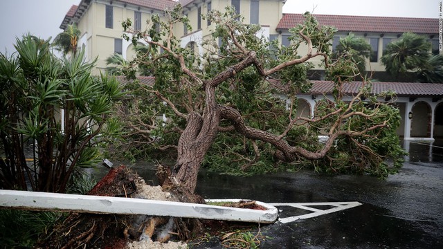 Siêu bão Irma trút cuồng nộ ở Florida, ít nhất 4 người thiệt mạng - Ảnh 5.