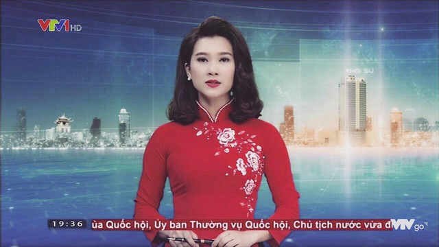 BTV Khánh Trang với những chiếc áo dài gây thương nhớ trong Bản tin 19h - Ảnh 14.
