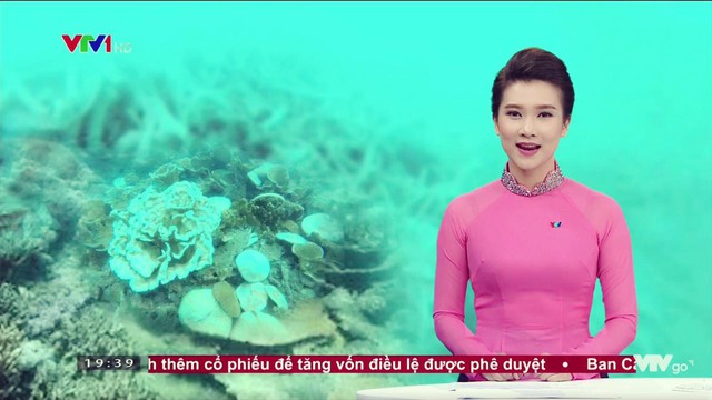 BTV Khánh Trang với những chiếc áo dài gây thương nhớ trong Bản tin 19h - Ảnh 4.