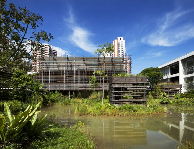Ngắm không gian cộng đồng có kiến trúc ấn tượng ở Singapore - Ảnh 2.
