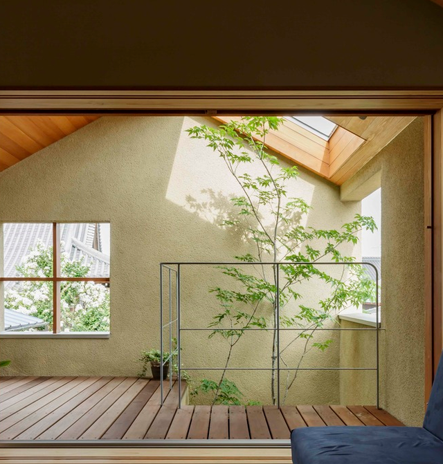 Thiết kế nhà với nội thất toàn bằng gỗ và khoảng giếng trời xanh ngát - Ảnh 5.
