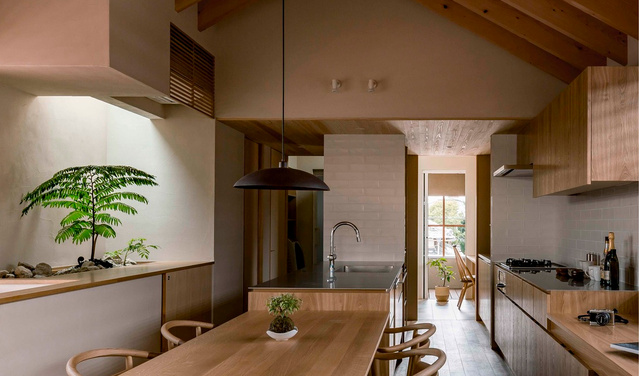 Thiết kế nhà với nội thất toàn bằng gỗ và khoảng giếng trời xanh ngát - Ảnh 7.