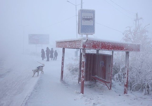 Khám phá cuộc sống ở thị trấn lạnh giá nhất thế giới - Ảnh 4.