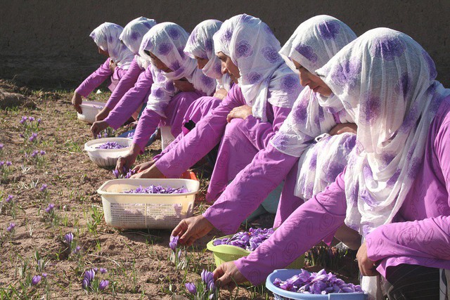 Hoa nghệ tây đã thay đổi cuộc sống của phụ nữ Afghanistan thế nào? - Ảnh 3.