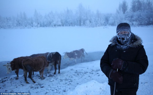 Run cầm cập trước hình ảnh ở ngôi làng lạnh nhất thế giới - Ảnh 5.