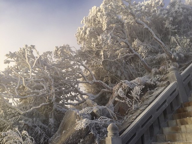 Tuyệt đẹp đỉnh Fansipan trắng xóa trong băng tuyết - Ảnh 2.