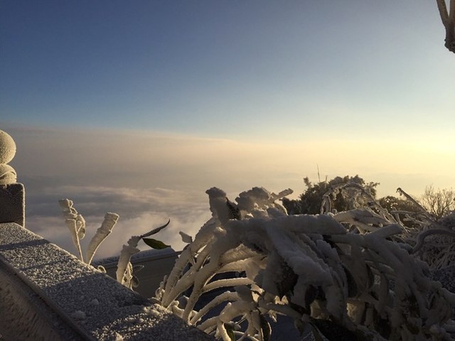 Tuyệt đẹp đỉnh Fansipan trắng xóa trong băng tuyết - Ảnh 5.