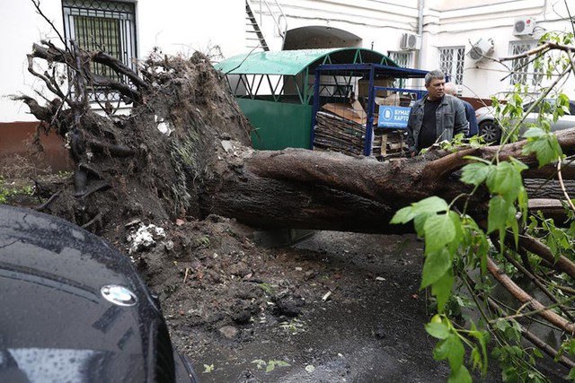 Cận cảnh hậu quả cuồng phong ở Nga khiến cây đổ đè chết nhiều người - Ảnh 6.