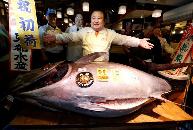 Cá ngừ Nhật Bản giá hơn 13 tỷ đồng trong phiên đấu giá đầu năm - Ảnh 1.