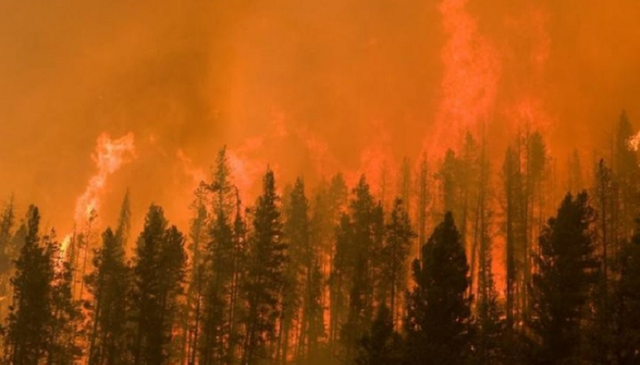 Cháy rừng tại California (Mỹ) có thể gây ra những thiệt hại không thể lường trước - Ảnh 1.