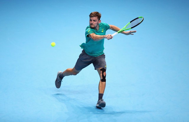 Ngược dòng thắng Federer, Goffin giành quyền vào chung kết ATP Finals 2017 - Ảnh 2.