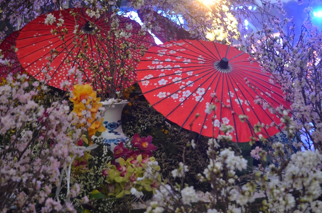 Khai mạc Lễ hội hoa anh đào 2017: Vườn hoa tượng đài Lý Thái Tổ rực rỡ sắc hoa - Ảnh 1.