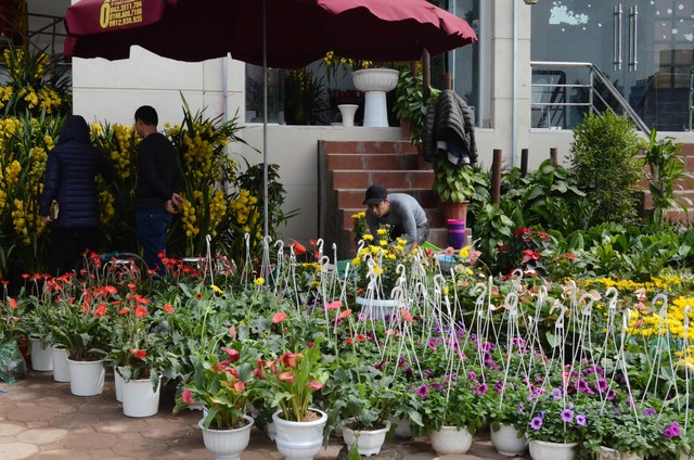 Chợ hoa Hoàng Hoa Thám rực rỡ ngày giáp Tết - Ảnh 25.