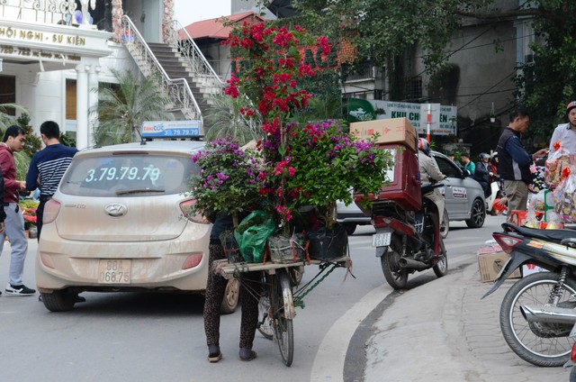 Chợ hoa Hoàng Hoa Thám rực rỡ ngày giáp Tết - Ảnh 23.