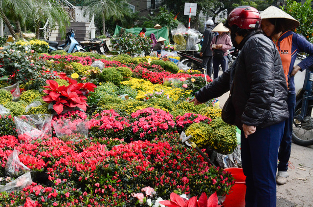 Chợ hoa Hoàng Hoa Thám rực rỡ ngày giáp Tết - Ảnh 29.