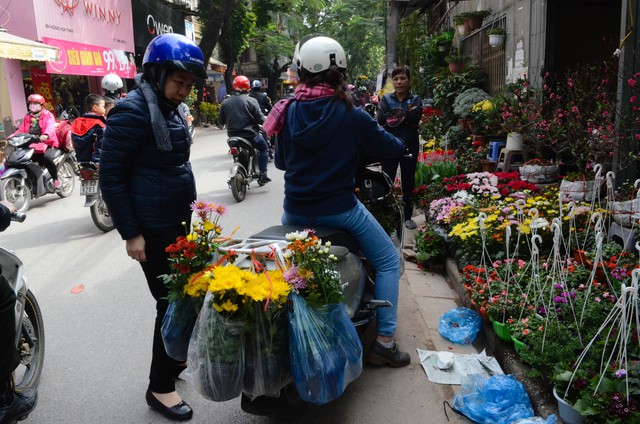 Chợ hoa Hoàng Hoa Thám rực rỡ ngày giáp Tết - Ảnh 13.
