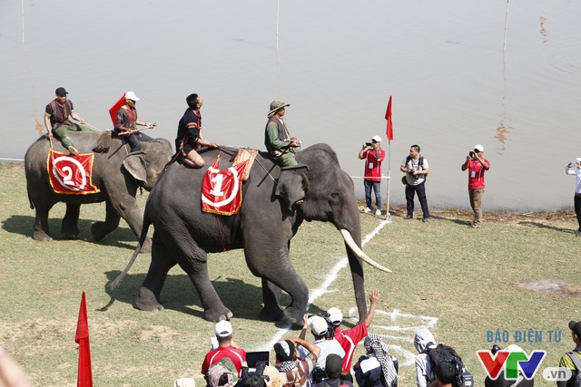 Đông đảo du khách đến xem lễ hội đua voi Tây Nguyên - Ảnh 1.