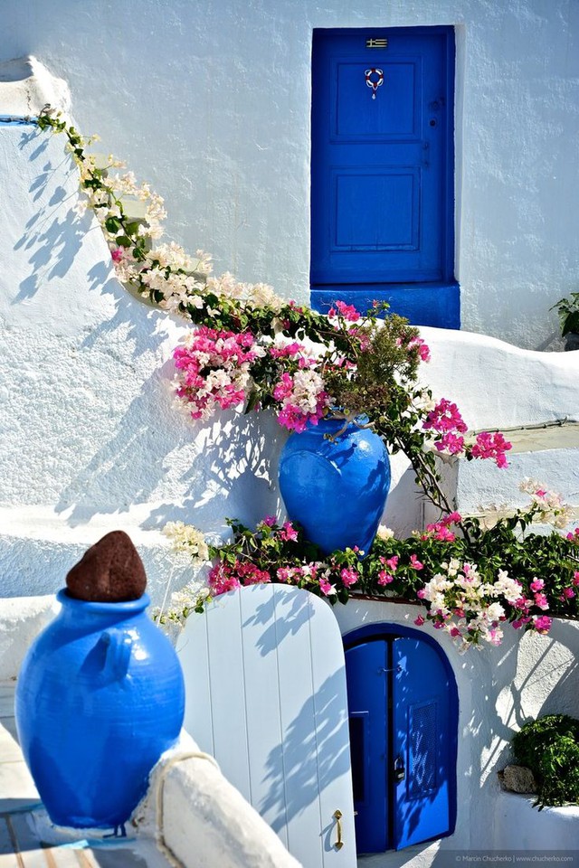 Sắc hồng hoa giấy tô điểm vẻ đẹp của Santorini | VTV.VN