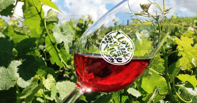 Thị trường rượu vang phát triển mạnh ở Hy Lạp - Ảnh 1.
