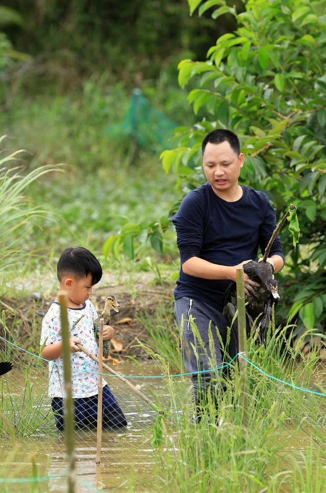 Nhạc sĩ Nguyễn Hải Phong cho con trai một năm chơi tẹt ga trước khi vào lớp 1 - Ảnh 2.