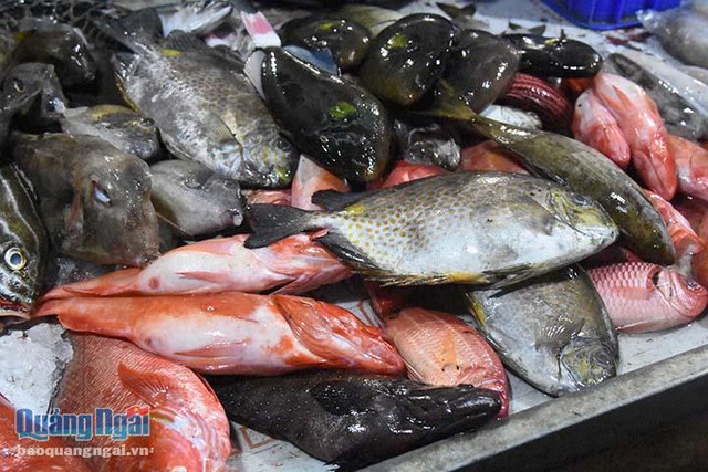 Sôi động chợ đêm hải sản ở đảo Lý Sơn - Ảnh 1.