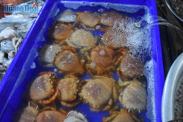 Sôi động chợ đêm hải sản ở đảo Lý Sơn - Ảnh 4.