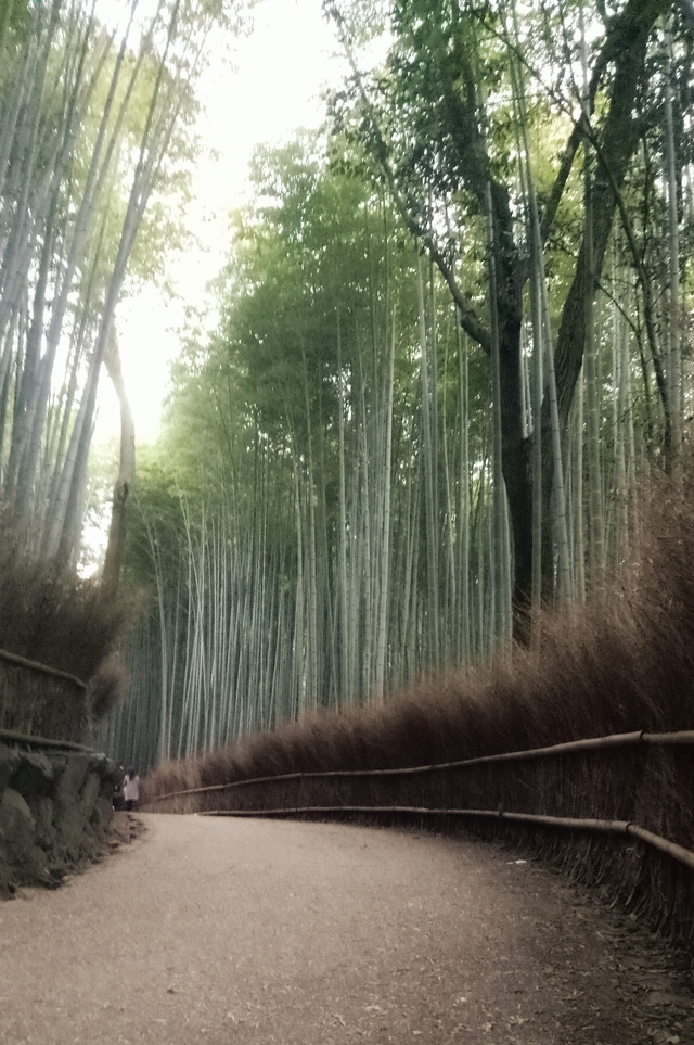 Lạc bước khi đến những ngôi làng xinh đẹp ở Nhật Bản - Ảnh 4.