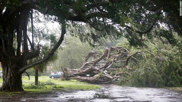 Siêu bão Irma đe dọa ngành du lịch của Florida - Ảnh 5.
