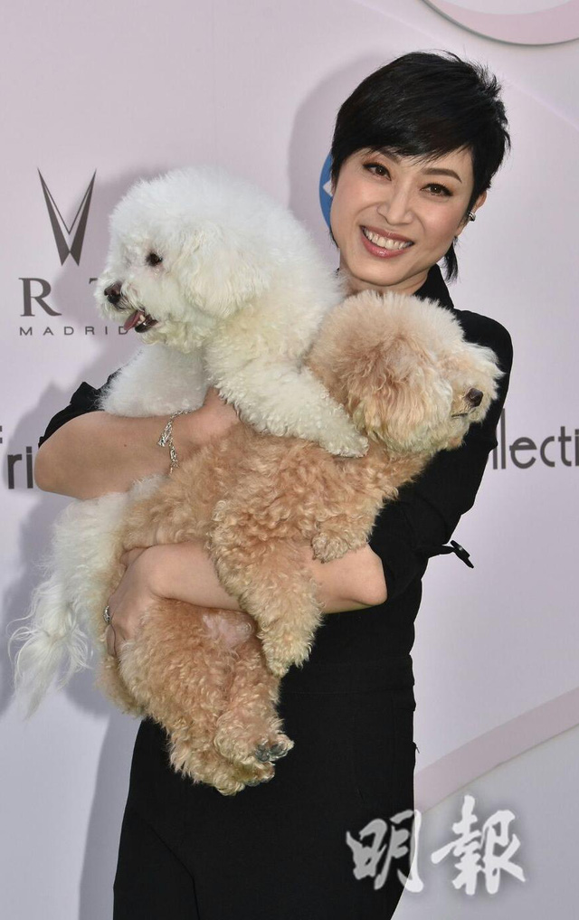 Bầu bạn với cún, Hoa hậu Hong Kong Trần Pháp Dung không sợ cô đơn - Ảnh 1.