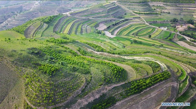 Ngắm những đồi ruộng bậc thang ngút ngàn ở Trung Quốc - Ảnh 1.