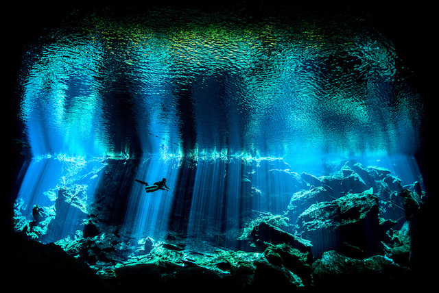 Ngỡ ngàng thế giới dưới nước đầy kỳ ảo qua ống kính máy ảnh - Ảnh 2.