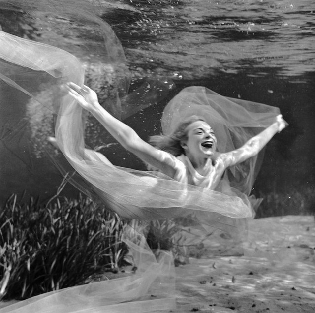 Chiêm ngưỡng ảnh nghệ thuật chụp dưới nước từ thập niên 30 - Ảnh 20.