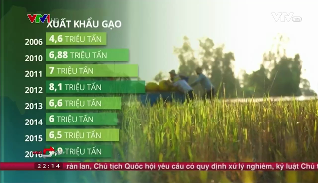 Việt Nam không thể tiếp tục sản xuất, xuất khẩu gạo bằng mọi giá - Ảnh 1.