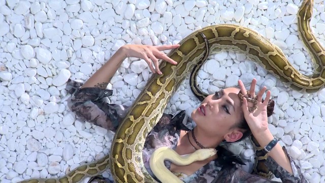 Vietnams Next Top Model 2017: Thị phạm cho thí sinh, Võ Hoàng Yến chơi đùa với trăn và rắn - Ảnh 4.