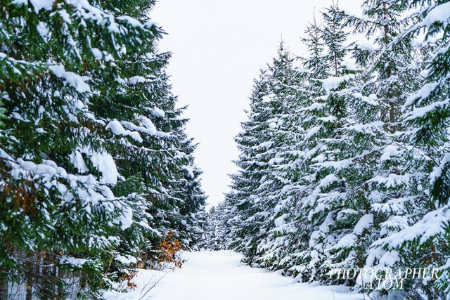 Ngắm tuyết trắng Nhật Bản qua những bức ảnh đẹp yên bình - Ảnh 8.
