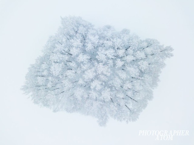 Ngắm tuyết trắng Nhật Bản qua những bức ảnh đẹp yên bình - Ảnh 4.