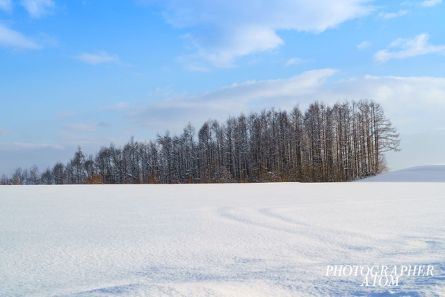 Ngắm tuyết trắng Nhật Bản qua những bức ảnh đẹp yên bình - Ảnh 6.