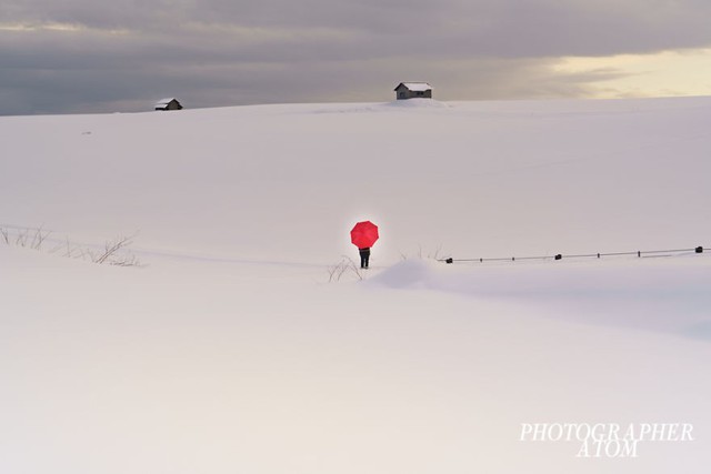 Ngắm tuyết trắng Nhật Bản qua những bức ảnh đẹp yên bình - Ảnh 7.