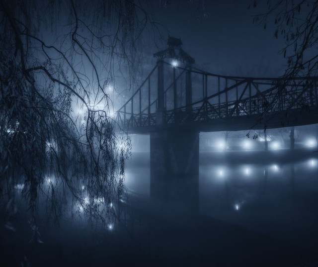 Thị trấn ở Ba Lan huyền bí và ảo diệu trong sương mù giá lạnh - Ảnh 5.