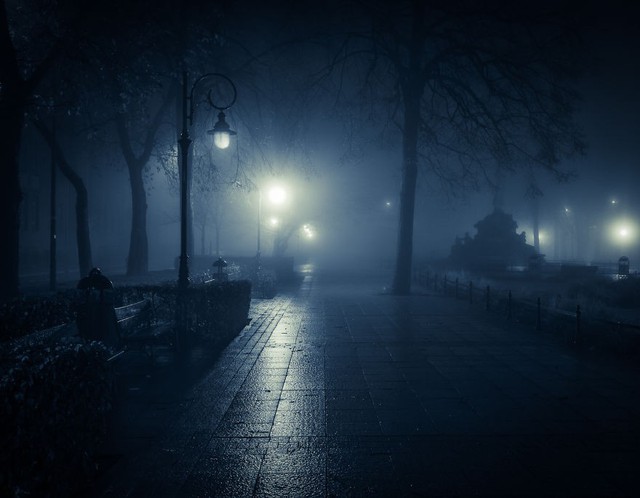Thị trấn ở Ba Lan huyền bí và ảo diệu trong sương mù giá lạnh - Ảnh 6.