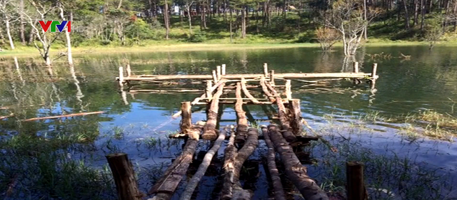 Tháo dỡ công trình vi phạm tại hồ Tuyền Lâm - Ảnh 1.